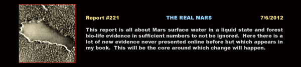 Click here to access "The Real Mars" report.